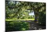 Spanish Moss II-Alan Hausenflock-Mounted Photographic Print