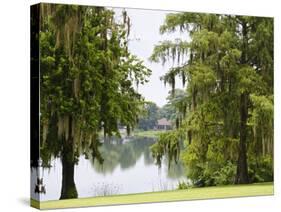 Spanish Moss, Orlando, Florida, United States of America, North America-Michael DeFreitas-Stretched Canvas