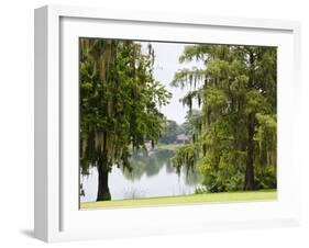 Spanish Moss, Orlando, Florida, United States of America, North America-Michael DeFreitas-Framed Photographic Print