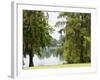 Spanish Moss, Orlando, Florida, United States of America, North America-Michael DeFreitas-Framed Photographic Print