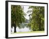 Spanish Moss, Orlando, Florida, United States of America, North America-Michael DeFreitas-Framed Photographic Print