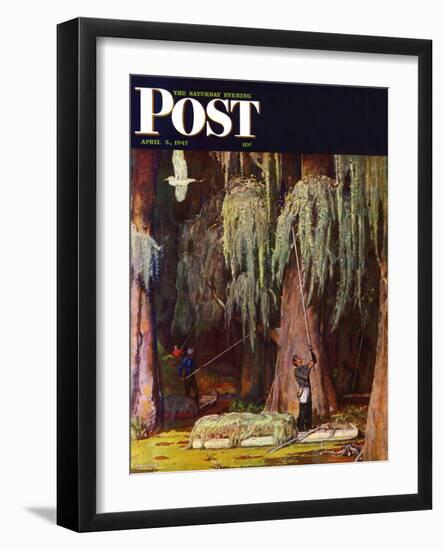 "Spanish Moss pickers," Saturday Evening Post Cover, April 5, 1947-Mead Schaeffer-Framed Giclee Print