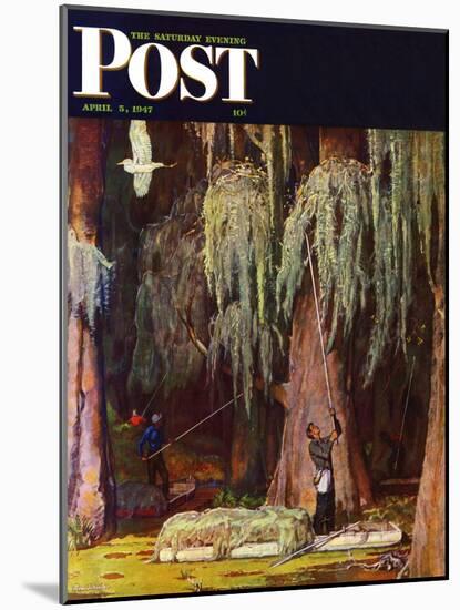 "Spanish Moss pickers," Saturday Evening Post Cover, April 5, 1947-Mead Schaeffer-Mounted Giclee Print