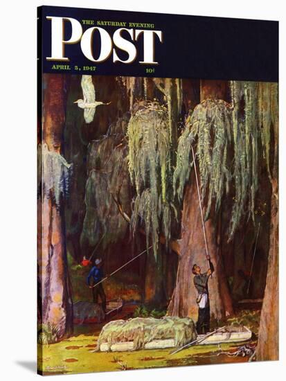 "Spanish Moss pickers," Saturday Evening Post Cover, April 5, 1947-Mead Schaeffer-Stretched Canvas