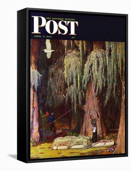 "Spanish Moss pickers," Saturday Evening Post Cover, April 5, 1947-Mead Schaeffer-Framed Stretched Canvas