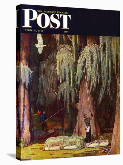 "Spanish Moss pickers," Saturday Evening Post Cover, April 5, 1947-Mead Schaeffer-Stretched Canvas