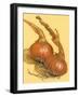 Spanish Onions-Barbara Keith-Framed Giclee Print
