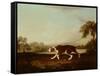 Spanish Pointer-George Stubbs-Framed Stretched Canvas