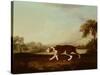 Spanish Pointer-George Stubbs-Stretched Canvas