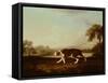 Spanish Pointer-George Stubbs-Framed Stretched Canvas