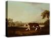 Spanish Pointer-George Stubbs-Stretched Canvas