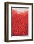 Spanish Poppies II-null-Framed Art Print