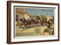 Brown Frame