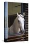 Spanish Riding School Stables, Vienna, Austria, Europe-Neil Farrin-Stretched Canvas