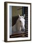 Spanish Riding School Stables, Vienna, Austria, Europe-Neil Farrin-Framed Photographic Print