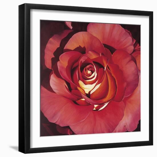 Spanish Rose-Jennifer Harmes-Framed Giclee Print