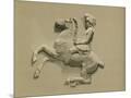 Wood Mount