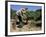 Spanish Seasonal Worker Picking Grapes, Seguret Region, Vaucluse, Provence, France-Duncan Maxwell-Framed Photographic Print