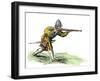 Spanish Soldier Aiming an Arquebus in the New World, 16th Century-null-Framed Giclee Print