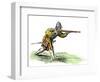 Spanish Soldier Aiming an Arquebus in the New World, 16th Century-null-Framed Giclee Print