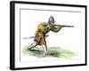 Spanish Soldier Aiming an Arquebus in the New World, 16th Century-null-Framed Giclee Print