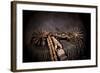 Spanish Spurs and Reins-Barry Hart-Framed Art Print