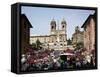 Spanish Steps, Rome, Lazio, Italy-Peter Scholey-Framed Stretched Canvas