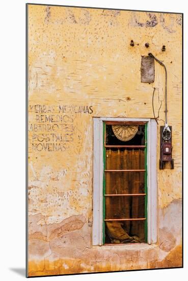 Spanish Style Doorways in the Barrio Viejo District of Tucson, Arizona, Usa-Chuck Haney-Mounted Photographic Print