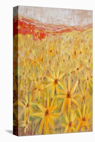 Spanish Sunflowers IV-null-Stretched Canvas