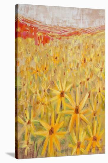 Spanish Sunflowers IV-null-Stretched Canvas