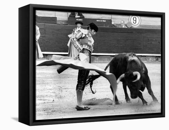 Spanish Toreador Manuel Benitez Called El Cordobes During Bullfight in Castellano De La Playa Spain-null-Framed Stretched Canvas