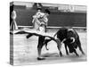 Spanish Toreador Manuel Benitez Called El Cordobes During Bullfight in Castellano De La Playa Spain-null-Stretched Canvas