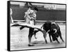 Spanish Toreador Manuel Benitez Called El Cordobes During Bullfight in Castellano De La Playa Spain-null-Framed Stretched Canvas