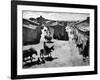 Spanish Village Showing Rows of Crude Stone and Adobe Houses-W^ Eugene Smith-Framed Photographic Print