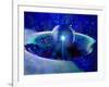 Spark of Awareness-MusicDreamerArt-Framed Giclee Print