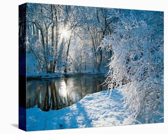 Sparkiling Winter Scene-null-Stretched Canvas