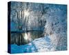 Sparkiling Winter Scene-null-Stretched Canvas