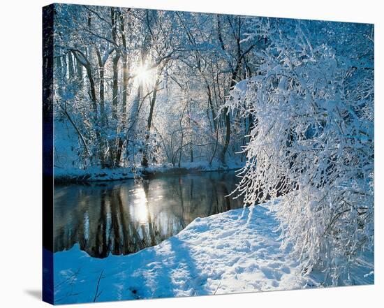 Sparkiling Winter Scene-null-Stretched Canvas