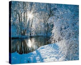 Sparkiling Winter Scene-null-Stretched Canvas