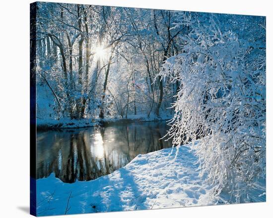 Sparkiling Winter Scene-null-Stretched Canvas