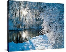 Sparkiling Winter Scene-null-Stretched Canvas