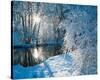 Sparkiling Winter Scene-null-Stretched Canvas