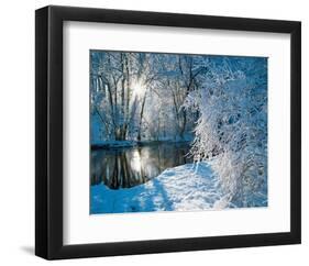 Sparkiling Winter Scene-null-Framed Art Print