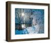 Sparkiling Winter Scene-null-Framed Art Print