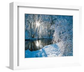 Sparkiling Winter Scene-null-Framed Art Print