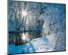 Sparkiling Winter Scene-null-Mounted Art Print