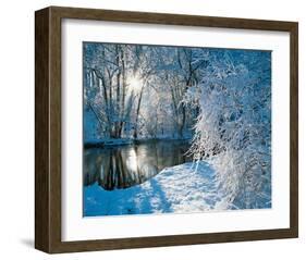 Sparkiling Winter Scene-null-Framed Art Print