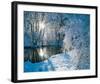Sparkiling Winter Scene-null-Framed Art Print