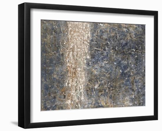 Sparkle Falls-Tyson Estes-Framed Giclee Print