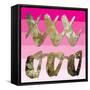 Sparkle Glam Pinks 3-Melody Hogan-Framed Stretched Canvas